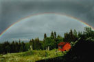 tiomilaskogen